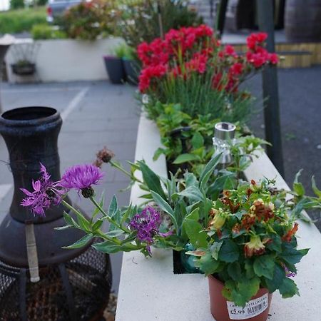 Ballyward Mountainview Bed & Breakfast エクステリア 写真