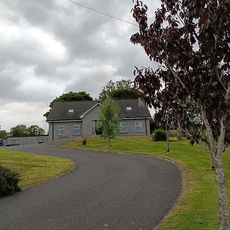 Ballyward Mountainview Bed & Breakfast エクステリア 写真