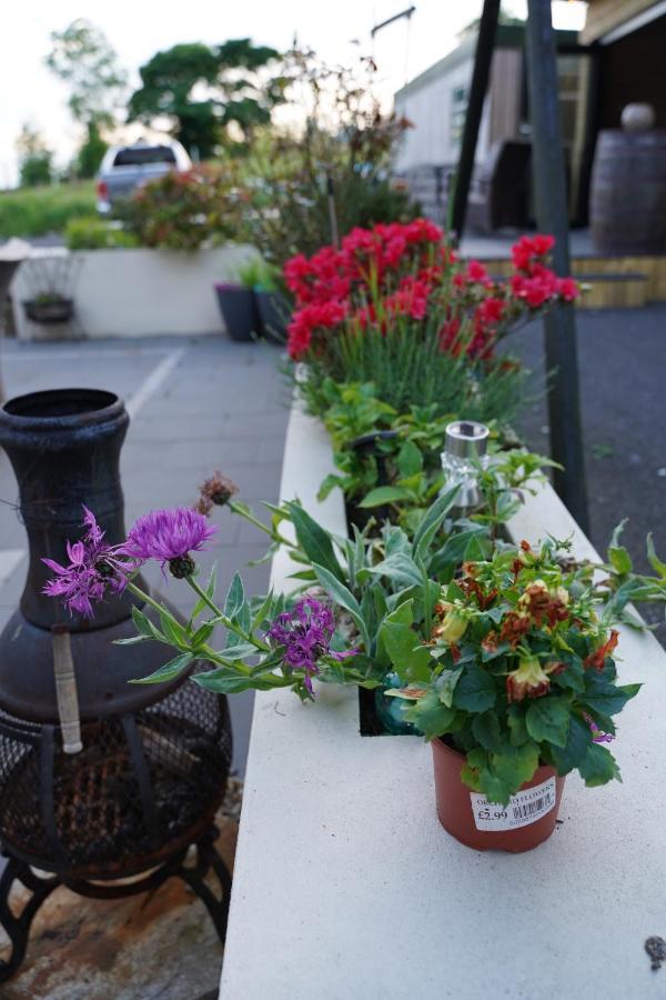 Ballyward Mountainview Bed & Breakfast エクステリア 写真