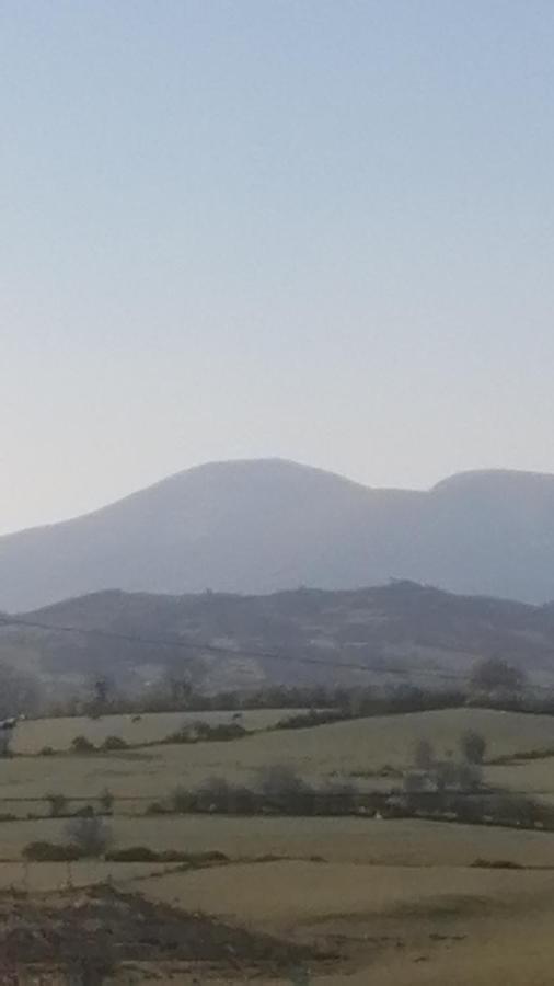 Ballyward Mountainview Bed & Breakfast エクステリア 写真