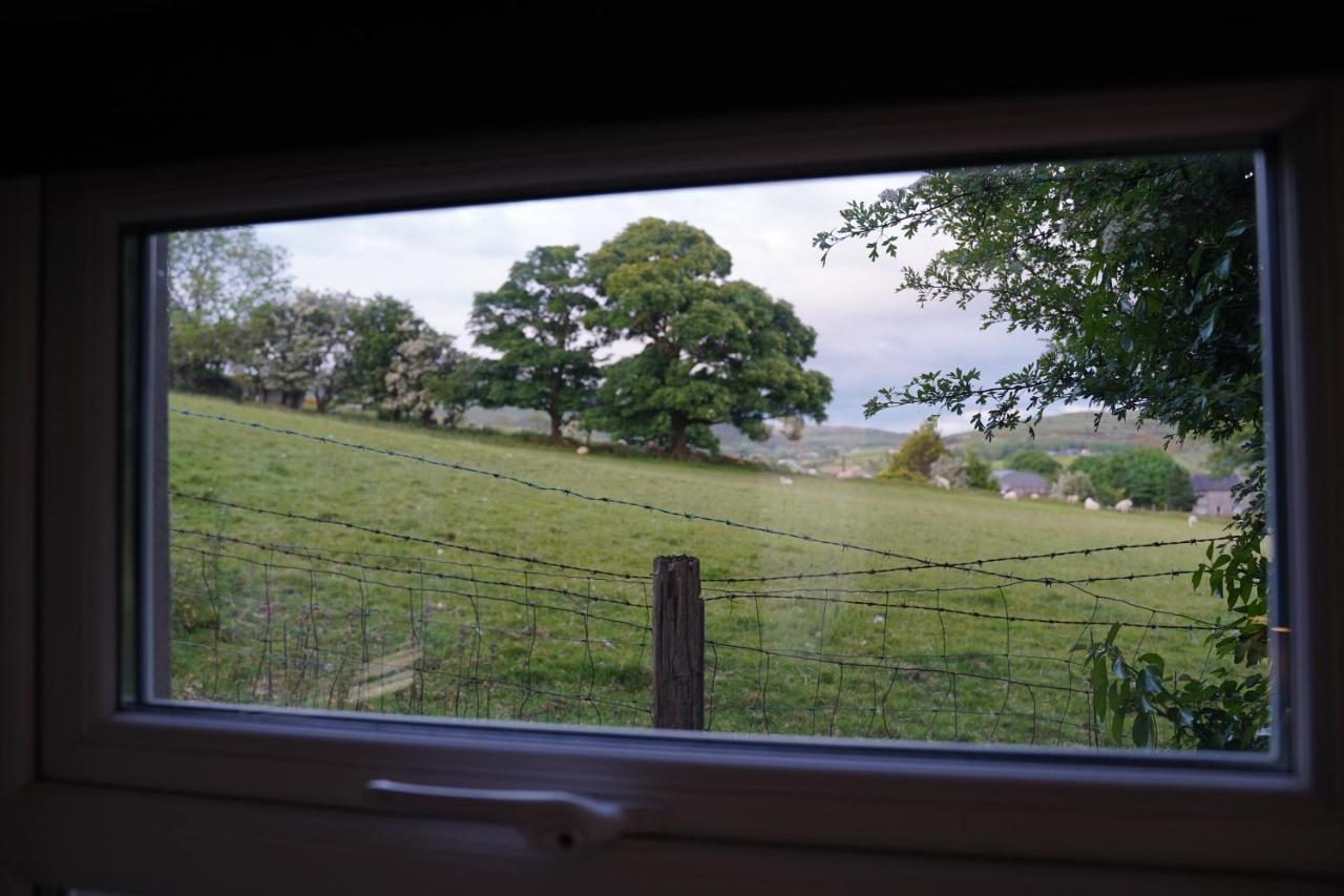 Ballyward Mountainview Bed & Breakfast エクステリア 写真