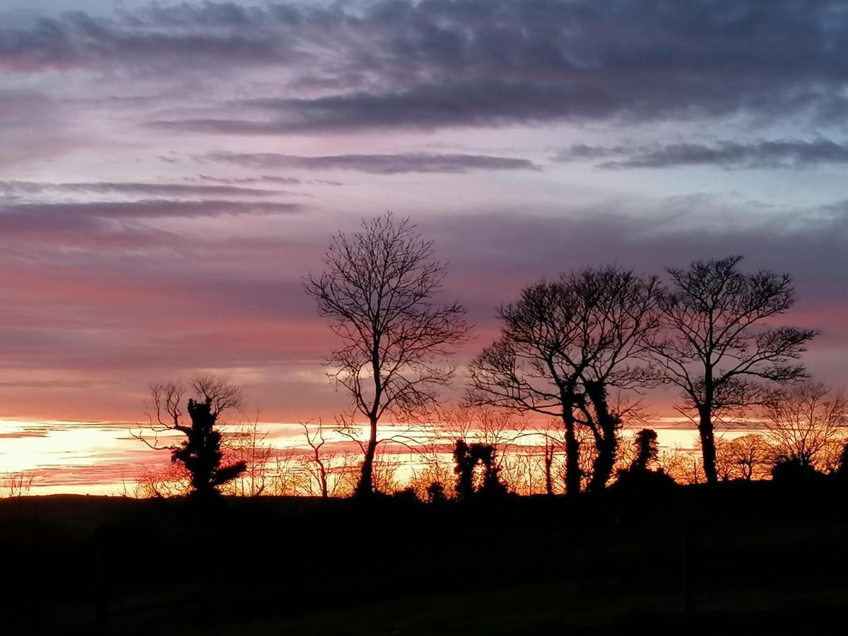 Ballyward Mountainview Bed & Breakfast エクステリア 写真